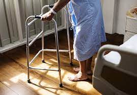 Muscle Quality: An Important Parameter When Assessing Fall Risk in the Elderly