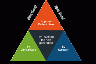 Academic Medicine: Is It for Me?